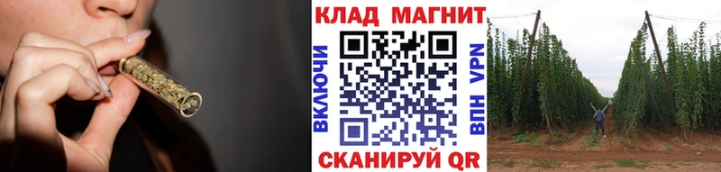 Альфа ПВП Ядрин