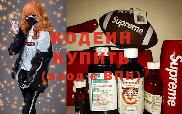 дживик Киренск