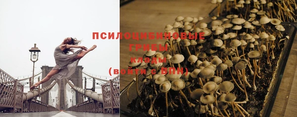 спайс Кинешма